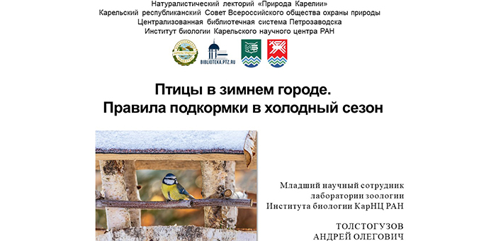 Птицы в зимнем городе. Правила подкормки в холодный сезон. НАТУРАЛИСТИЧЕСКИЙ ЛЕКТОРИЙ «ПРИРОДА КАРЕЛИИ»
