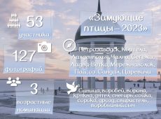 Слайд12