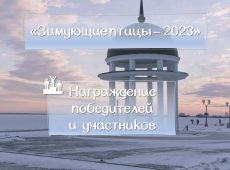 Слайд14