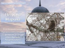 Слайд16