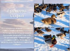 Слайд19