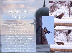 Слайд21