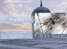 Слайд23