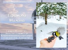 Слайд24