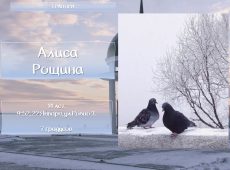 Слайд25