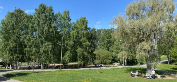Ботаническая экскурсия в Парке 50-летия Пионерской организации. 20 мая 2026 г. Натуралистический лекторий «Природа Карелии»